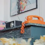 Les Séquoias #MaisonSavaron